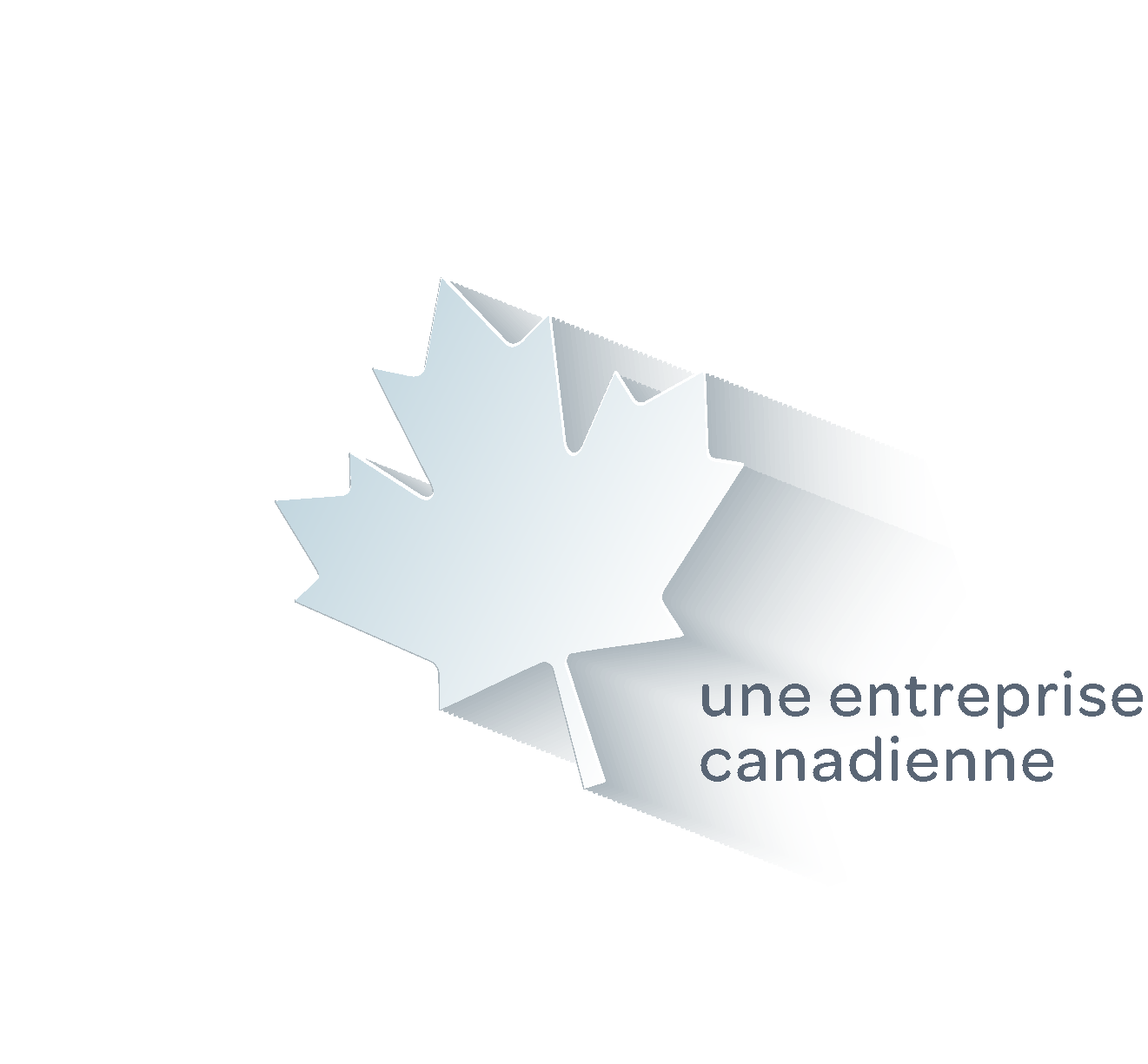Icon-filiale-Canadienne-V2